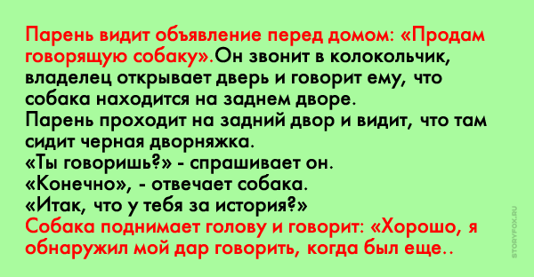 Продали скажи. Анекдот про говорящую собаку. Говорящая собака анекдот. Анекдот продается говорящая собака. Анекдот продам говорящую собаку.