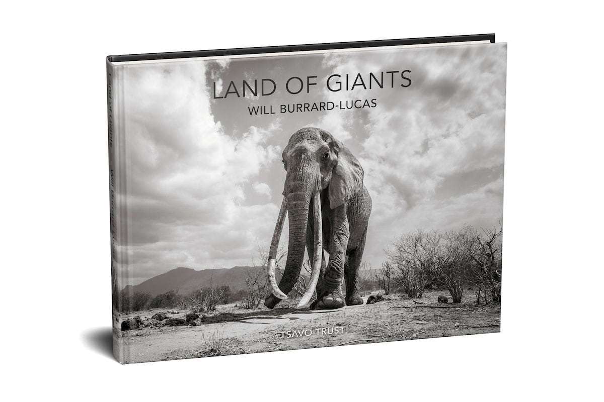 Land of Giants by Will Burrard-Lucas